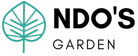 ndo's garden